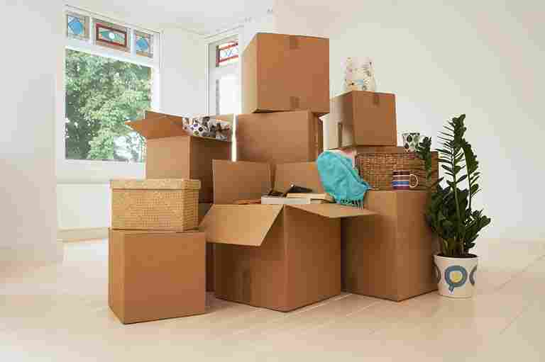 Edmonton best movers